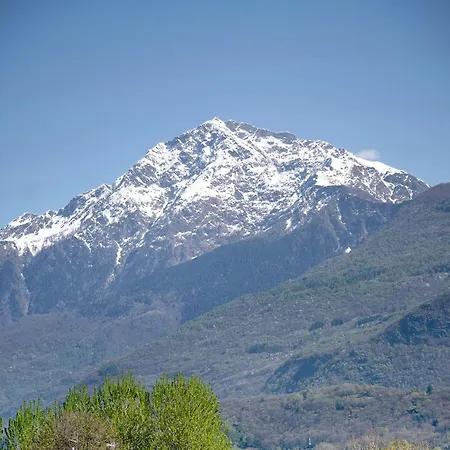 Vigna Del Dongo